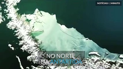 Iceberg gigante está prestes a soltar-se do glaciar