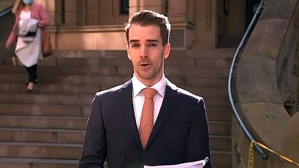 Man who allegedly punched police horse granted bail