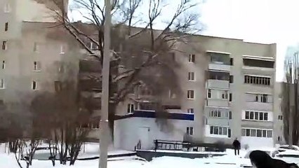 Alce 'apanhado' a inalar gases de tubo de escape