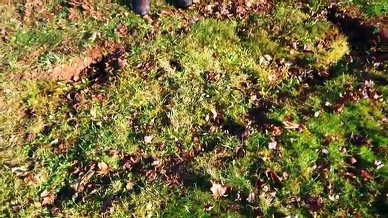 Aos 90 anos, este homem decidiu cavar a sua própria sepultura