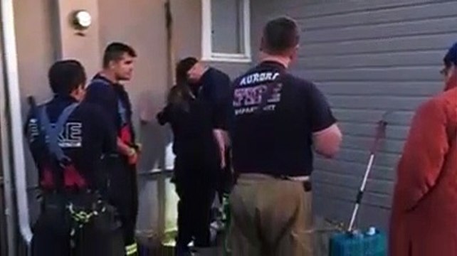 Gata fica presa em tubo e bombeiros salvam-na com corda de toalhas