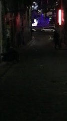 Gravações terão desvendado rosto de Bansky, o misterioso graffiter