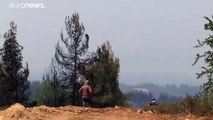 Los incendios han quemado 90.000 hectáreas de bosque en Grecia