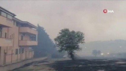 İtalya'da tabiat parkında yangın