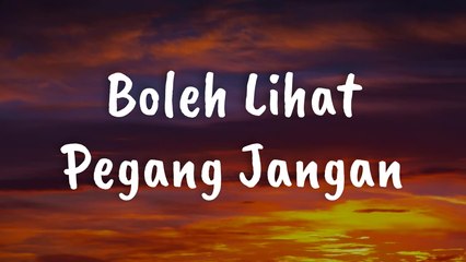 Boleh Lihat Pegang Jangan - Heidy Diana (Cover by Novi Ayla Lyric)