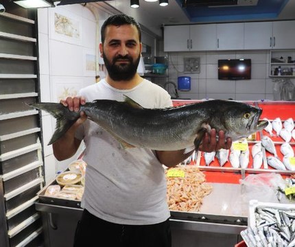 ÇANAKKALE'DE 6 KİLOLUK SIRTIKARA 900 LİRADAN SATIŞA SUNULDU