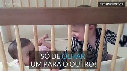 Estes bebés não conseguem parar de rir