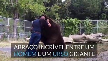 Abraço incrível entre homem e urso pardo gigante