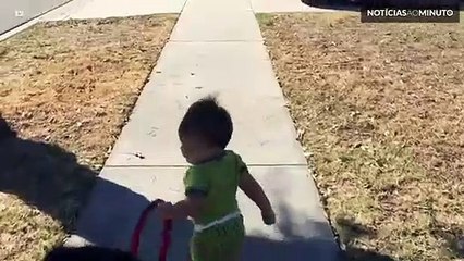 Quem passeia quem, o cão ou o bebé?