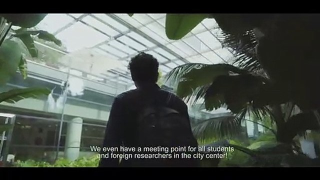 Convite para estudar em Portugal torna-se viral