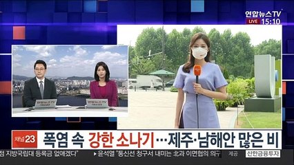 [날씨] 폭염 속 강한 소나기…제주·남해안 많은 비