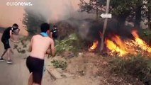 ارتفاع حصيلة ضحايا حرائق الغابات في شمال الجزائر إلى 40 قتيلا
