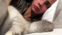 Cara Delevingne é amante de gatos e mostra-nos Olivia, a sua gatinha