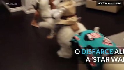 Esta fantasia da Guerra das Estrelas é sensacional