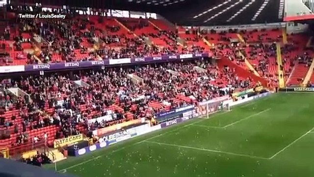 Choveram literalmente porcos num jogo em Inglaterra