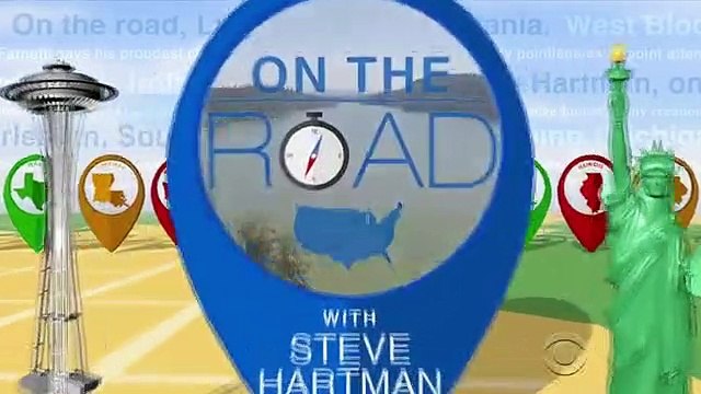 A (improvável) amizade entre um homem e um ganso