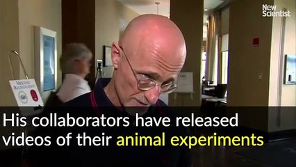 Cirurgião diz ter feito transplante de cabeça bem sucedido num cão