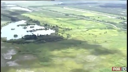 Mais de 200 millhões de litros de resíduos contaminados escoados na Flórida