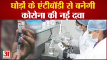 Kolhapur : Corona Medicine To Be Made From Horse Antibodies | आईसेरा बायोलॉजिकल में चल रहा परीक्षण