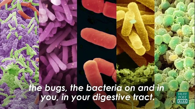 Os segredos para uma dieta saudável