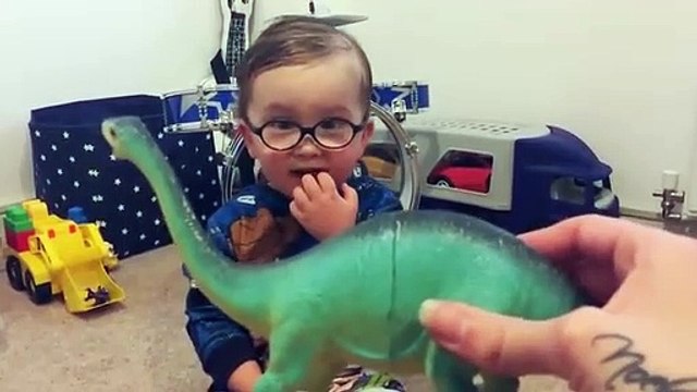 Este menino de apenas dois anos conhece todos os dinossauros