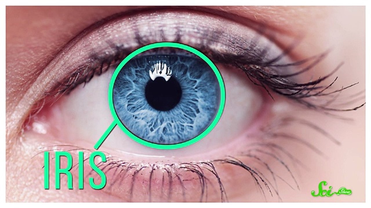 porque é que fica com os olhos vermelhos nas fotografias
