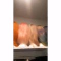 Kylie Jenner mostra coleção de perucas