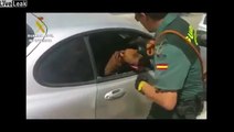 Imagens mostram policia espanhola a salvar pitbull fechado em carro