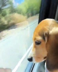 Veja Miley Cyrus e o namorado a cantarem música de Justin Bieber