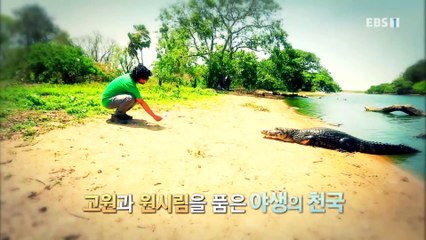 세계테마기행 - 남미, 취향 저격 가이드북- 야성의 땅, 브라질_#001