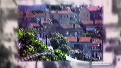 Telma Monteiro: Tudo o que eu fiz foi sempre na rua