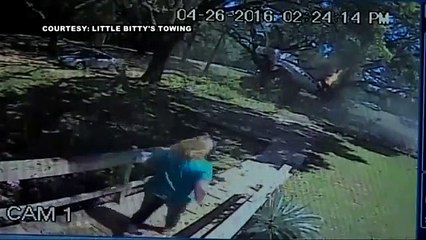 Avião despenha-se contra árvore e piloto sai ileso