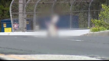 Homem que invadiu estação de televisão baleado pela polícia