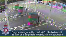 CCTV footage released as part of Derbyshire dog theft investigation
