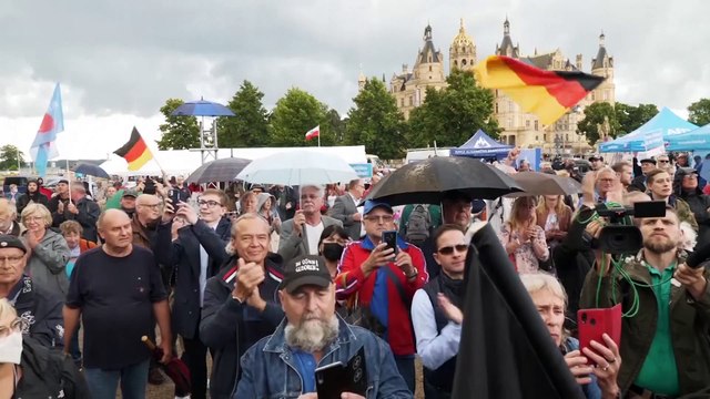 Législatives allemandes : les Verts et l'AFD entrent à leur tour en campagne