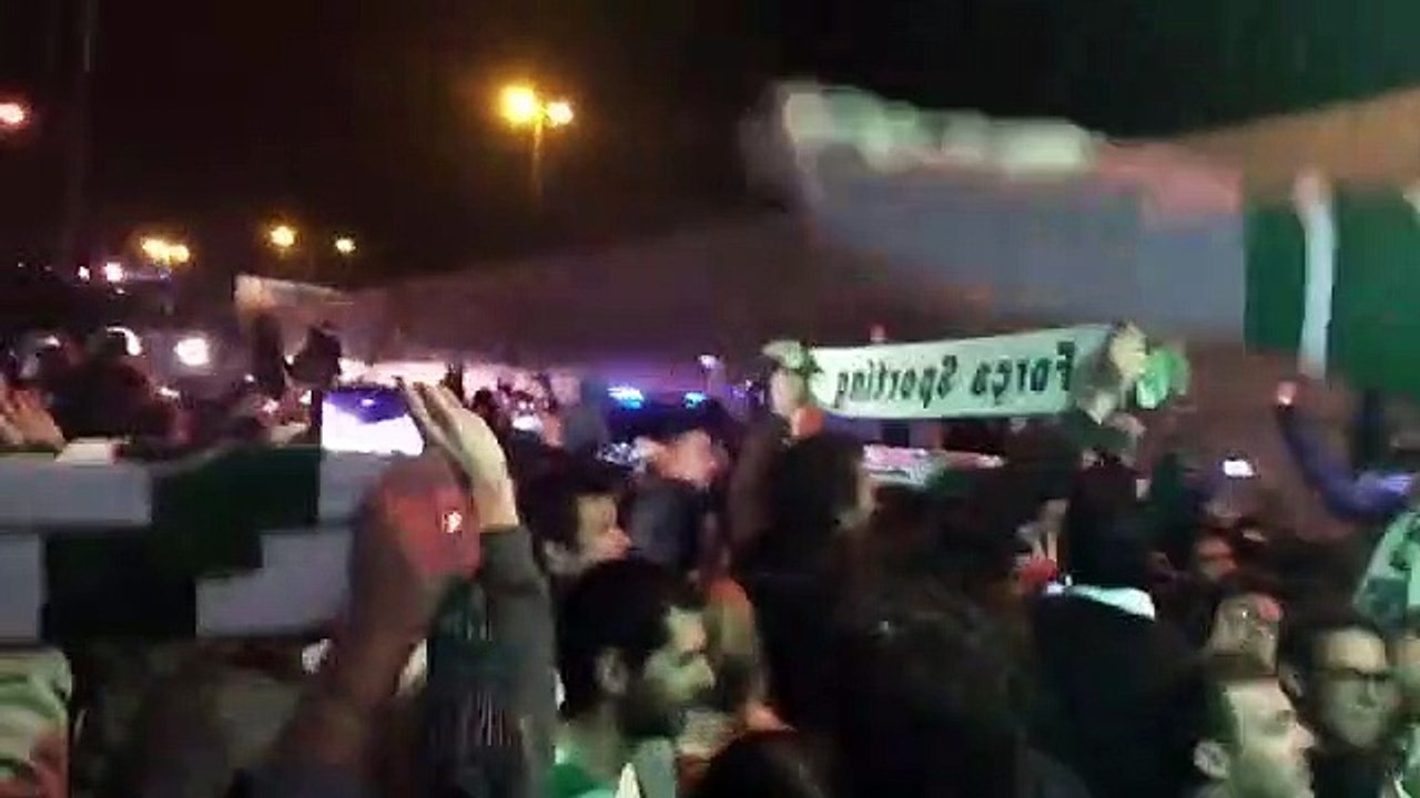 A emotiva receção dos adeptos do Sporting à equipa em Alvalade