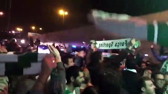 A emotiva receção dos adeptos do Sporting à equipa em Alvalade