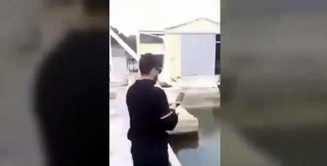 Tubarão circula perto da costa espanhola e assusta turistas