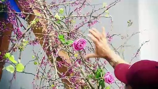 Veja os bastidores da sessão de Cuca com a filha recém-nascida