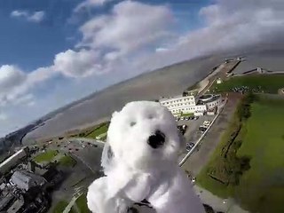 Sam, o peluche, 'perdeu-se' depois de ir ao espaço