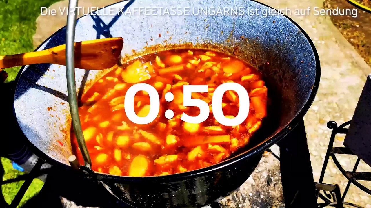 Virtuelle Kaffeetasse Ungarns am 11.08.2021