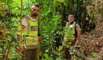 Calvi Risorta (CE) - Sequestrata piantagione di marijuana: arrestato imprenditore agricolo (11.08.21)
