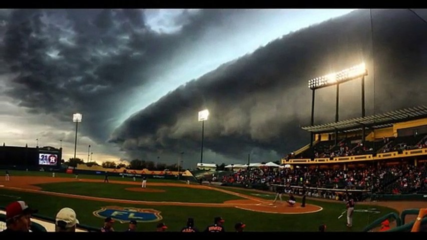 Atlanta Braves
