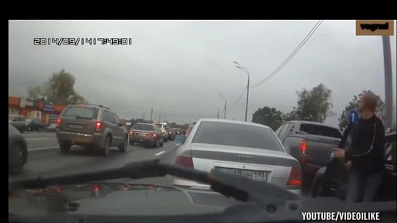 Homem arranja discussão de trânsito... com um cão