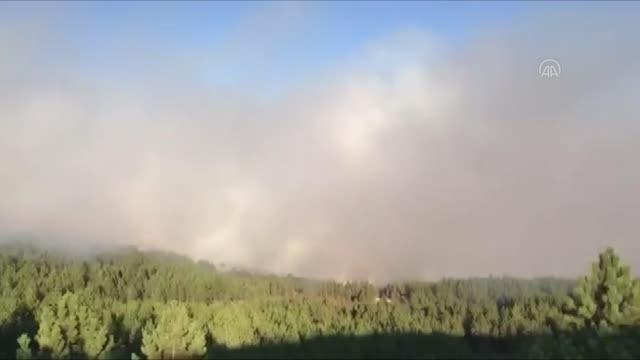 Son dakika haberleri | Köyceğiz'de başlayan orman yangını, Denizli sınırına yaklaştı