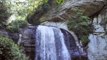 Waterfall At The Forest | Waterfall in The Forest