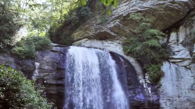 Waterfall At The Forest | Waterfall in The Forest