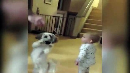 Bebé quer recompensa e... imita o seu cão