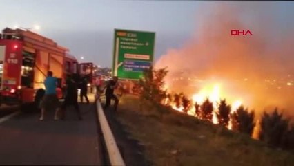 Ankara'da otoyol kenarında çamlık alan yandı