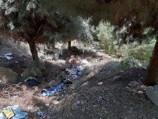 AĞAÇLIK ALANDA ÖLÜ BULUNMUŞTU, SON GÖRÜNTÜLERİ ORTAYA ÇIKTI